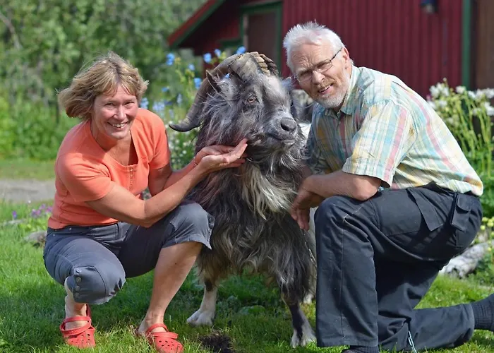 Sæterstad Gård Lantgård