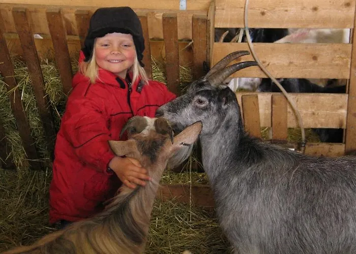 Sæterstad Gård Lantgård Varntresk