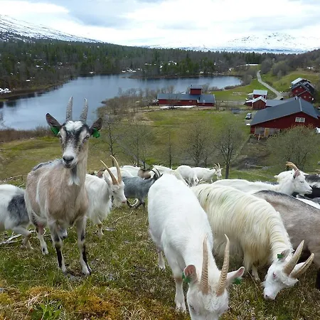 Farm stay Saeterstad Gard *