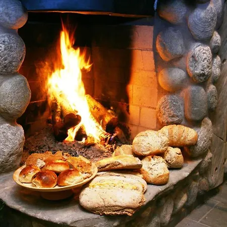 Saeterstad Gard Varntresk