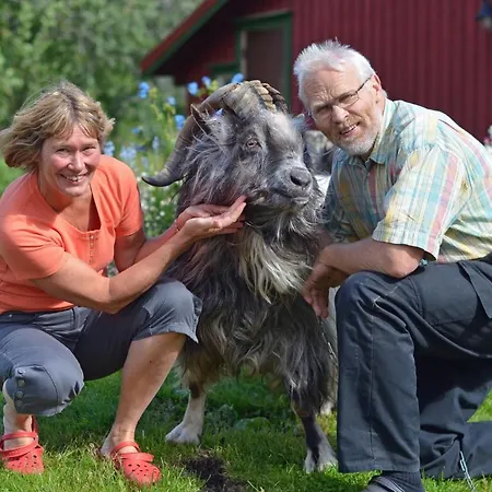 Saeterstad Gard Farm stay