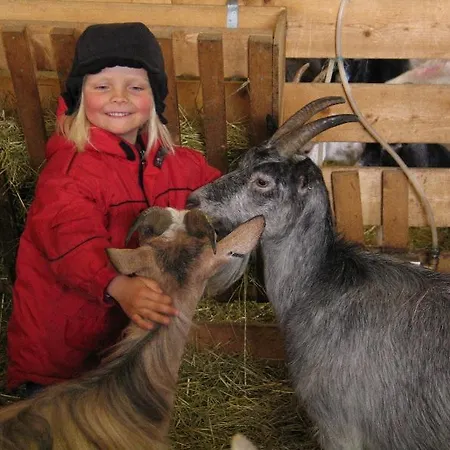 Saeterstad Gard Farm stay Varntresk